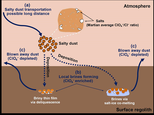 图2.火星北极高氯酸盐与氯盐的分馏机理示意图