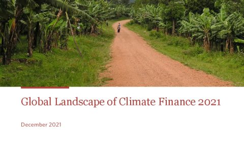 国际气候政策中心：2021年全球气候金融报告